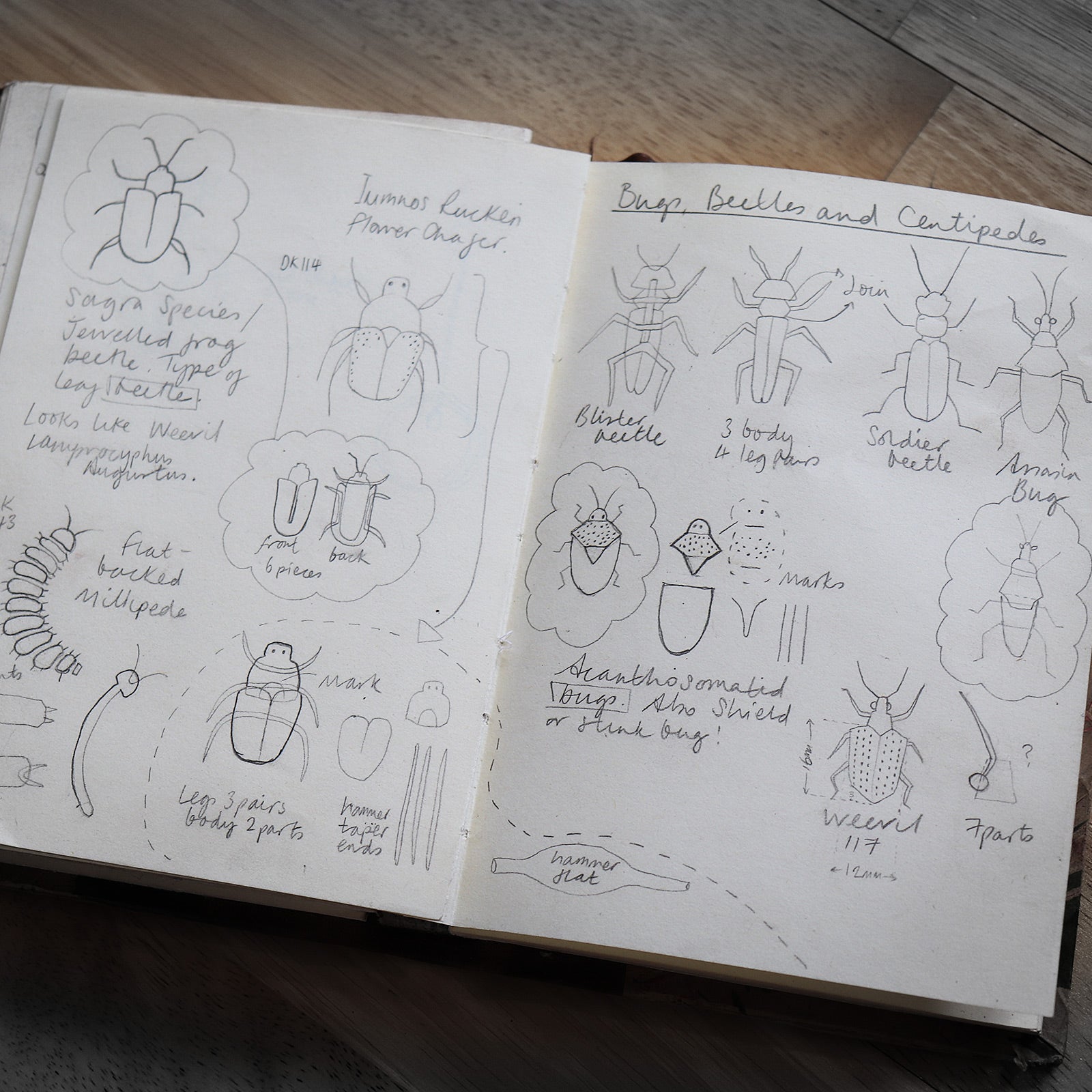 sketchbook with designs for beetle necklaces